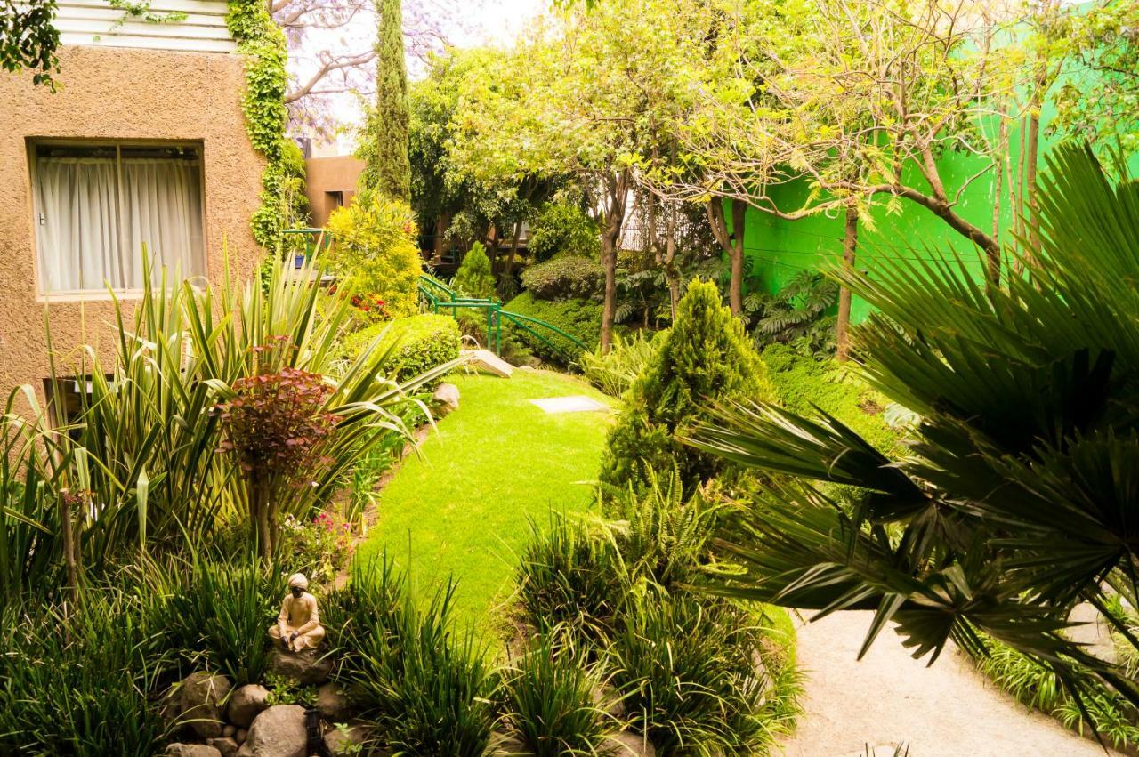 Suite 4A, Terraza, Garden House, Welcome To San Angel Μεξικό Εξωτερικό φωτογραφία