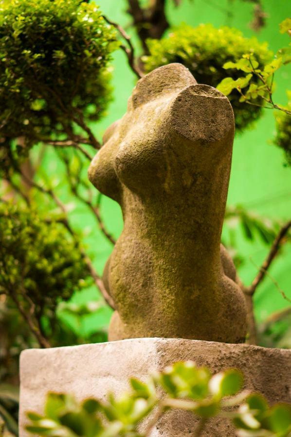 Suite 4A, Terraza, Garden House, Welcome To San Angel Μεξικό Εξωτερικό φωτογραφία